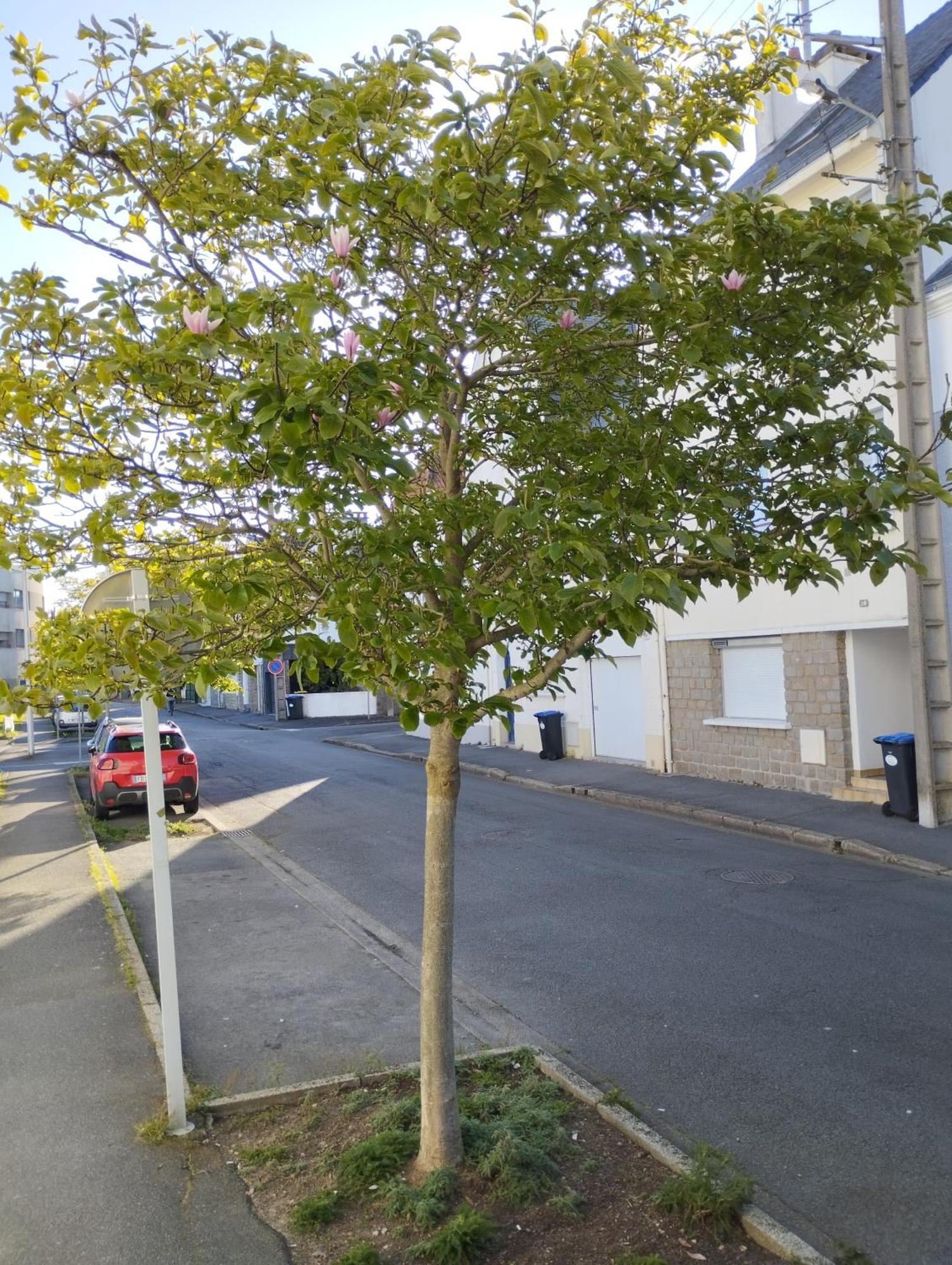 A Saint-nazaire Pour 1 Ou 2 Personnes *